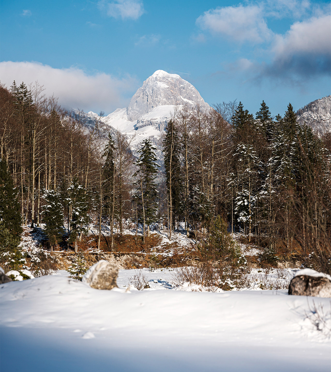 predil_hoch_0002_L1010629