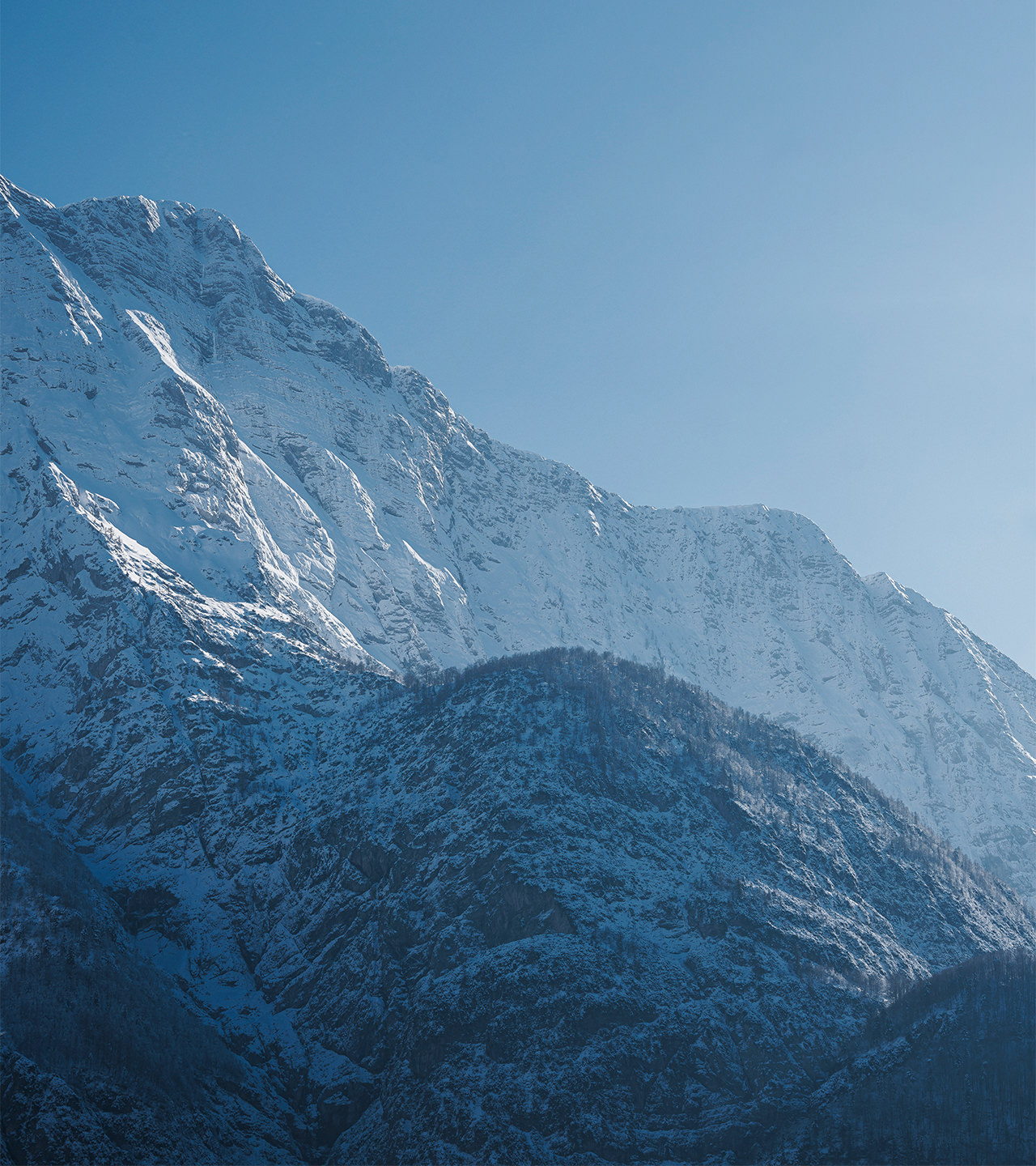 predil_hoch_0003_L1010580_1